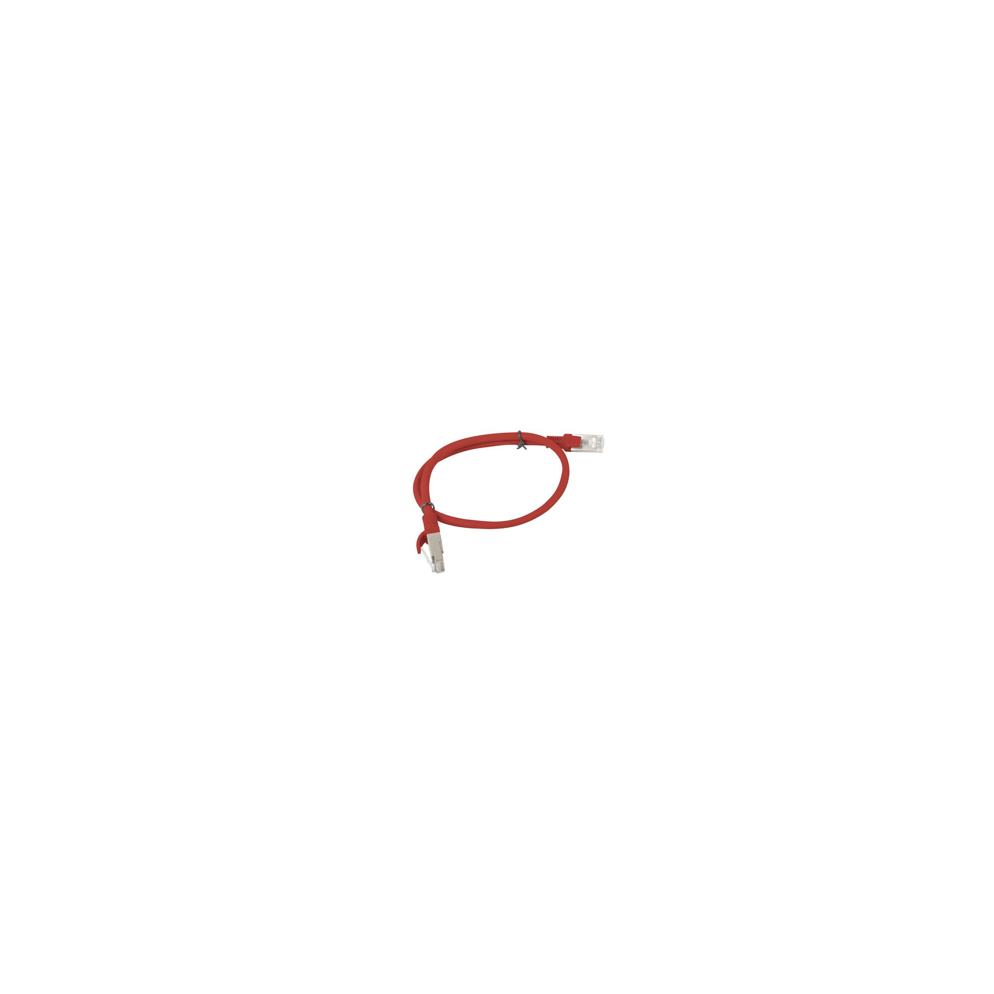 Cavo Ethernet rosso con connettori. Sfondo bianco.