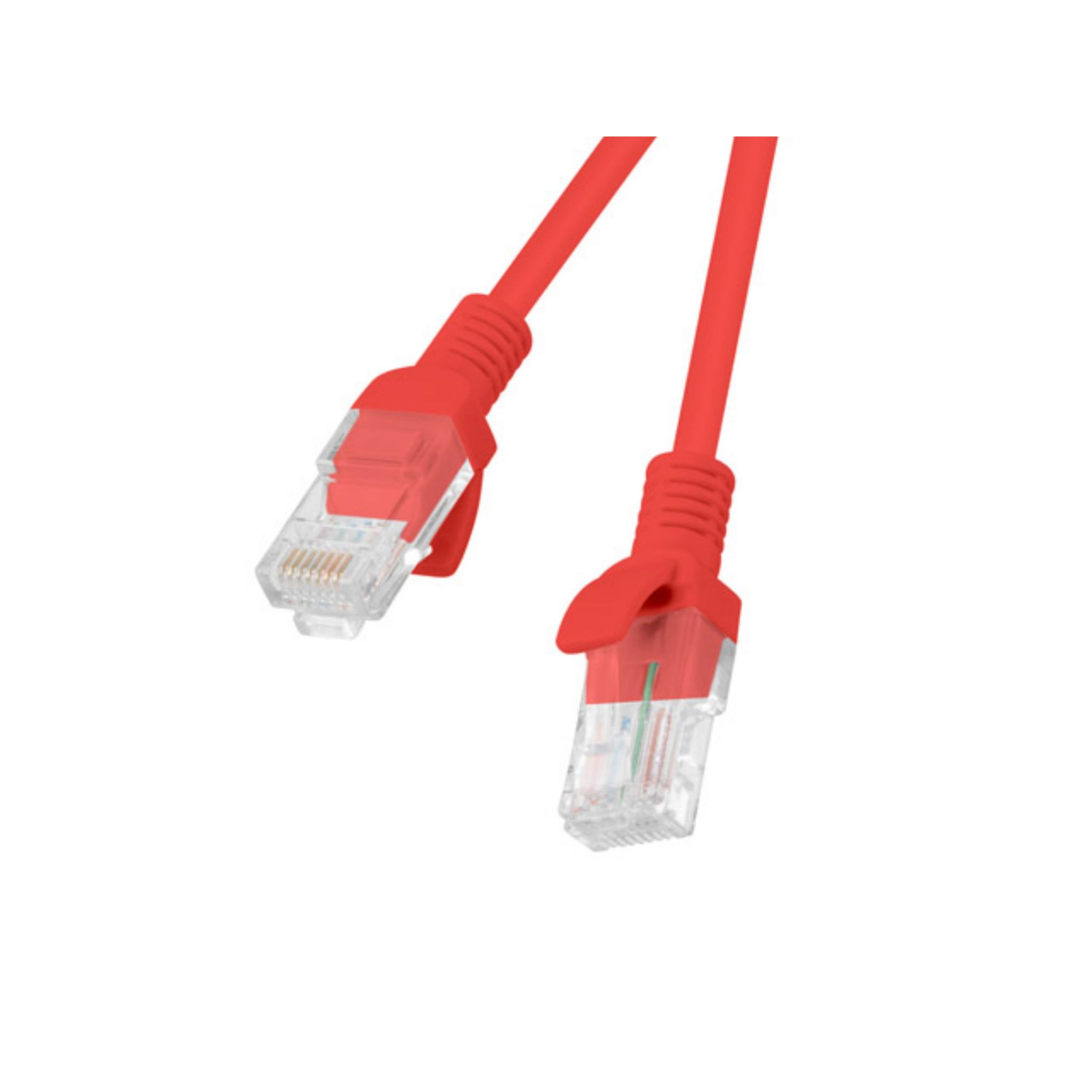 Cavo Ethernet rosso con connettori trasparenti. È isolato su sfondo bianco.