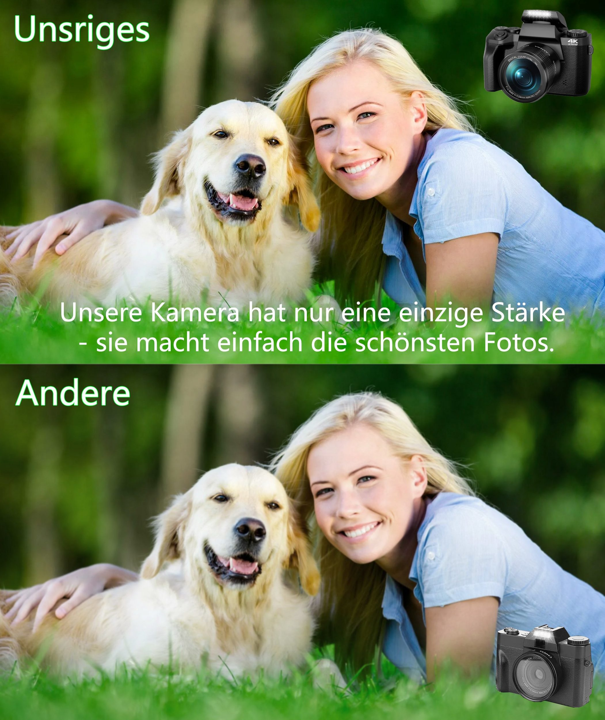 Foto mit Frau und Hund. Textüberlagerung: 