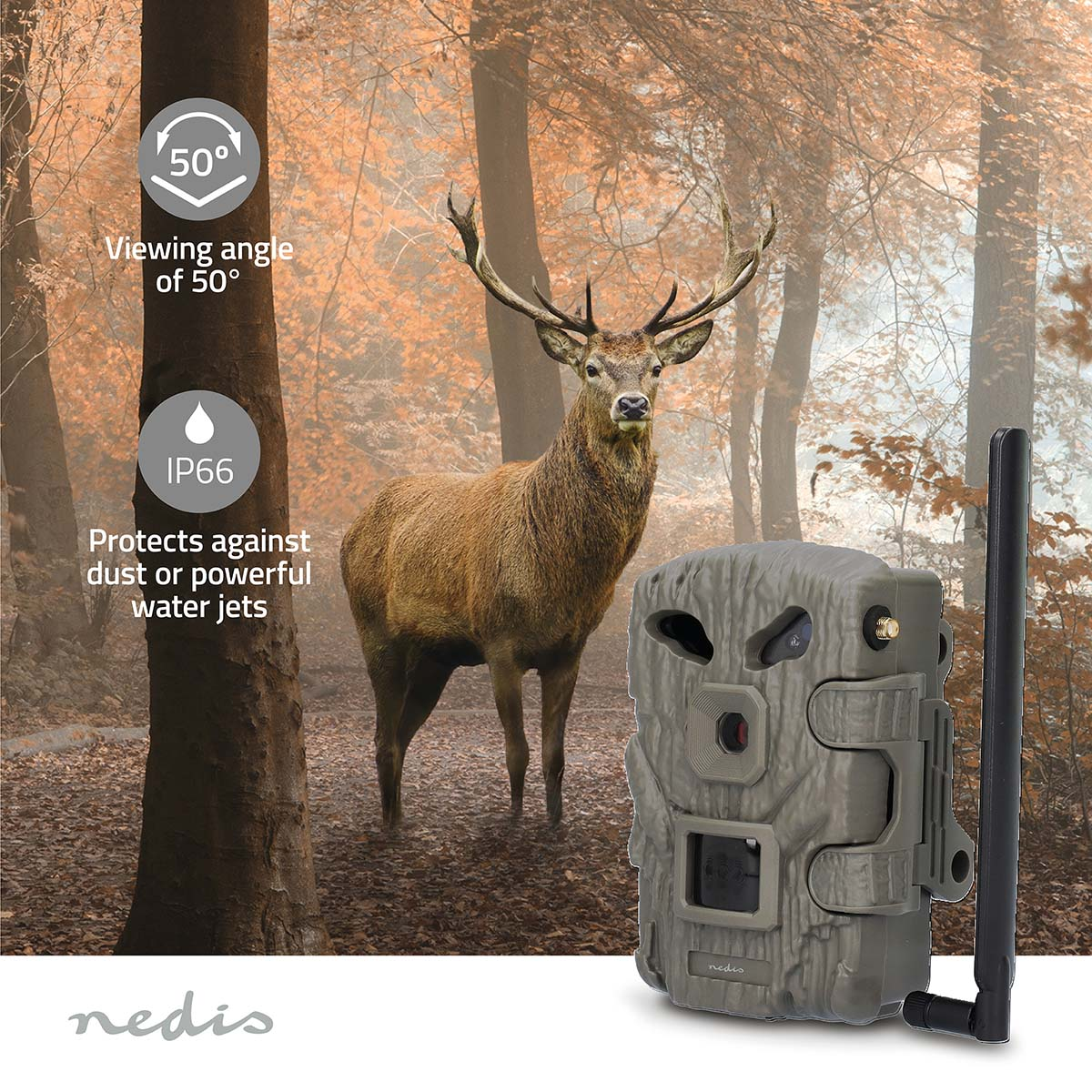Wildkamera in einer Waldumgebung, mit einem Hirsch im Hintergrund.