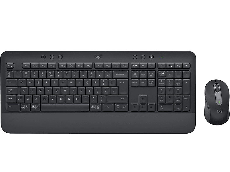 LOGITECH 920-010994, Tastatur Maus Schwarz Set