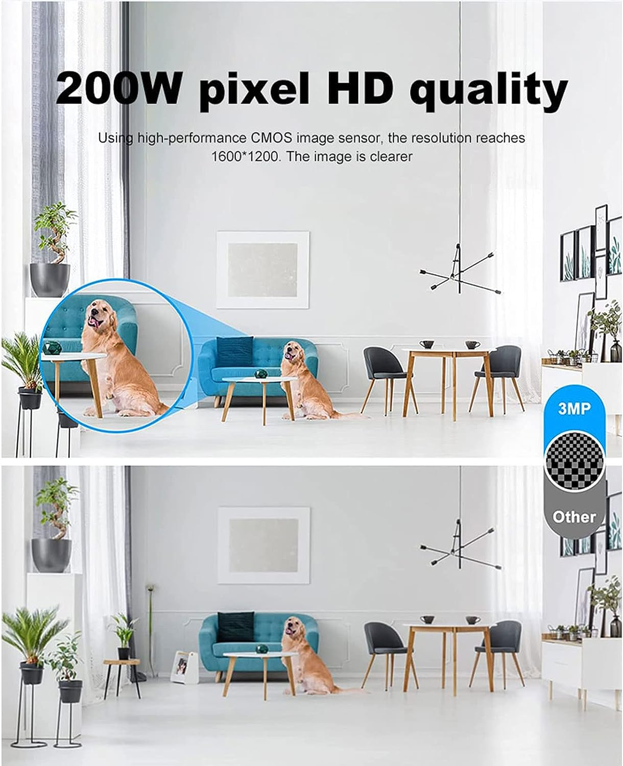 Dos imágenes que muestran una habitación con un perro, un sofá y una persona, con texto superpuesto.