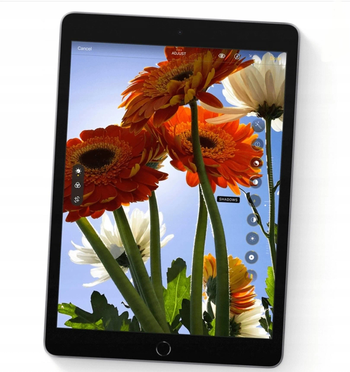 Ein Tablet, das Blumen zeigt. Der Bildschirm zeigt orangefarbene und weiße Blumen vor blauem Himmel.