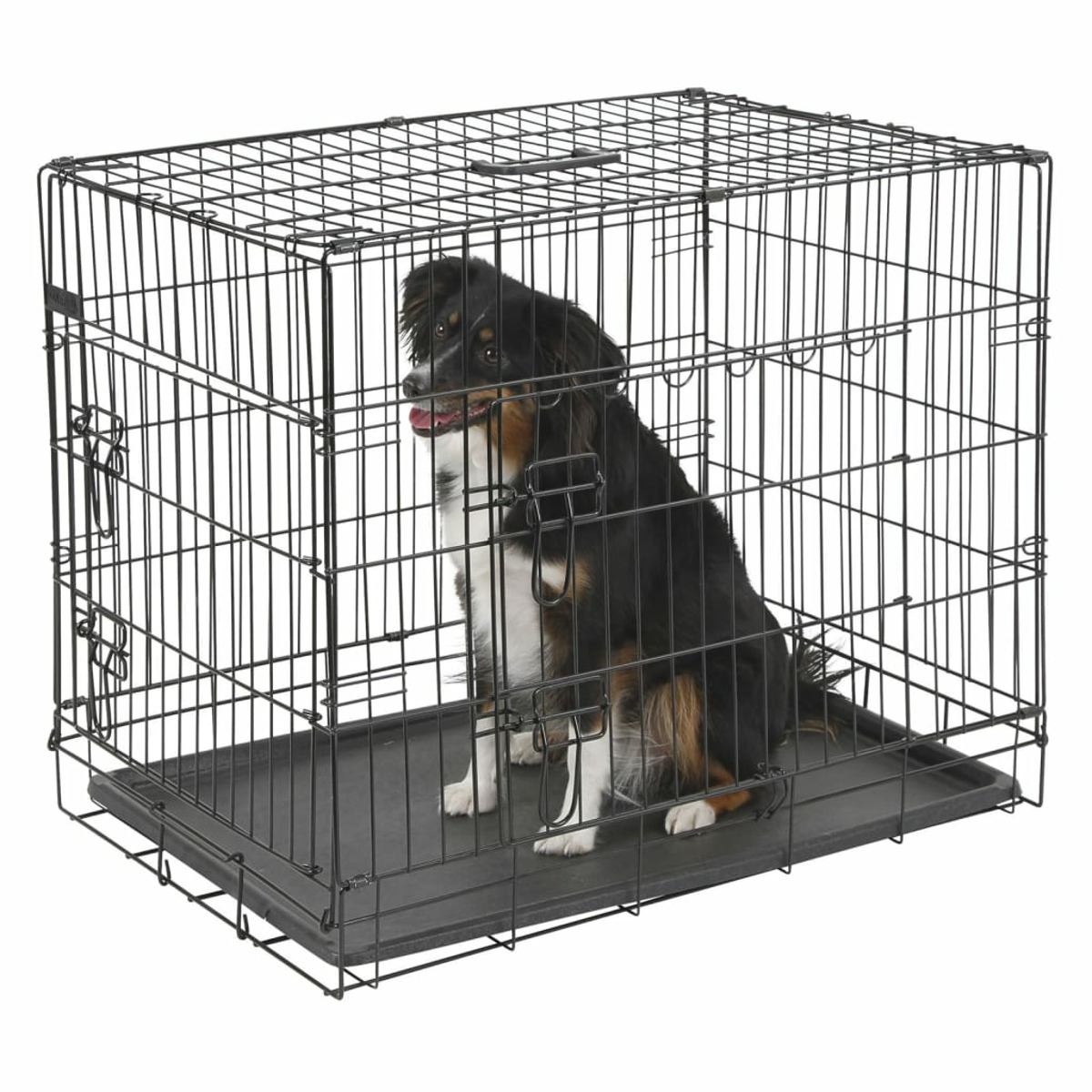 Ein schwarz-weißer Hund sitzt in einer schwarzen Draht-Hundebox.