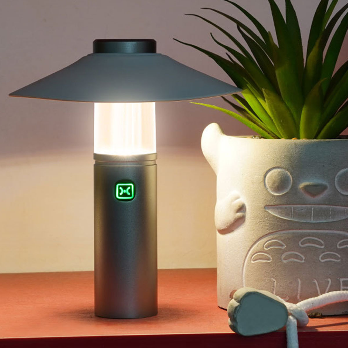 Eine silberne Lampe mit Licht. Eine Pflanze in einem Totoro-Topf im Hintergrund.