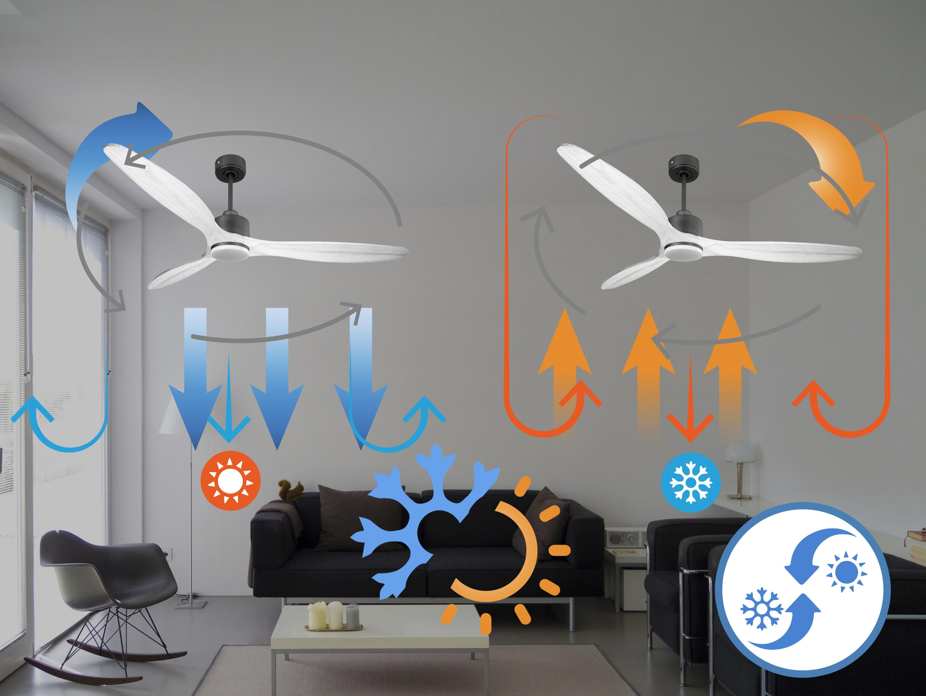 Dos ventiladores de techo con ilustraciones de flujo de aire que muestran la circulación de aire cálido y frío.