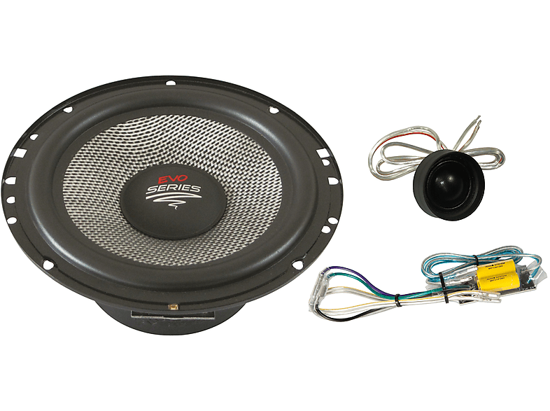 AUDIO SYSTEM X165 EM EVO Active Lautsprecher