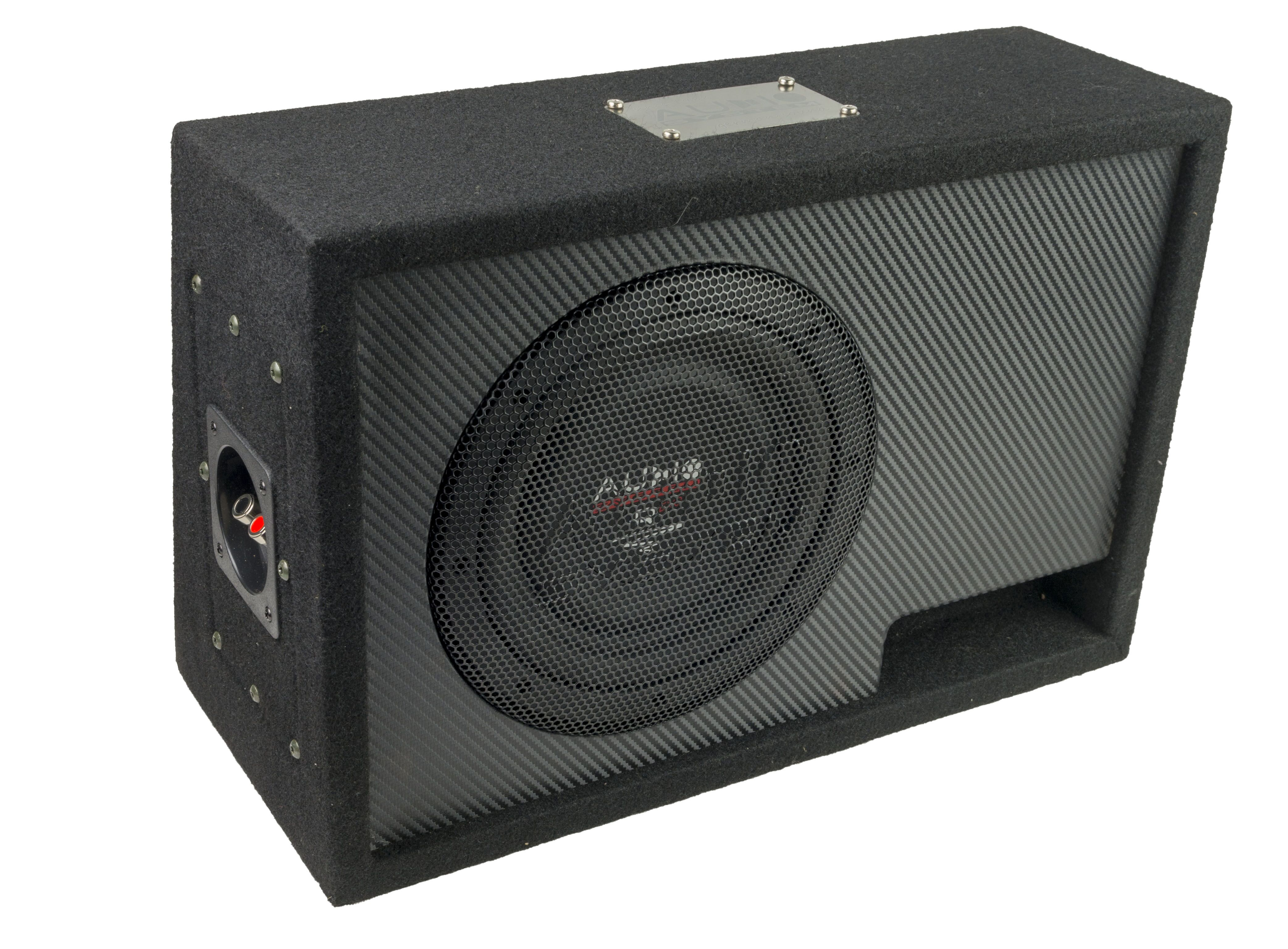 AUDIO SYSTEM R08FLAT BR Evo Active Lautsprecher