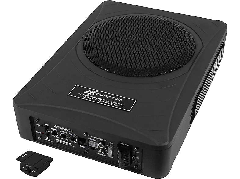 Q208A ESX Active Lautsprecher