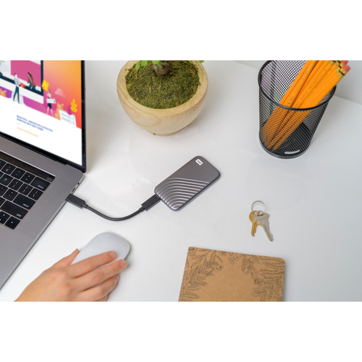 Laptop podłączony do zewnętrznego dysku twardego. Mysz, klucze i roślina na biurku.