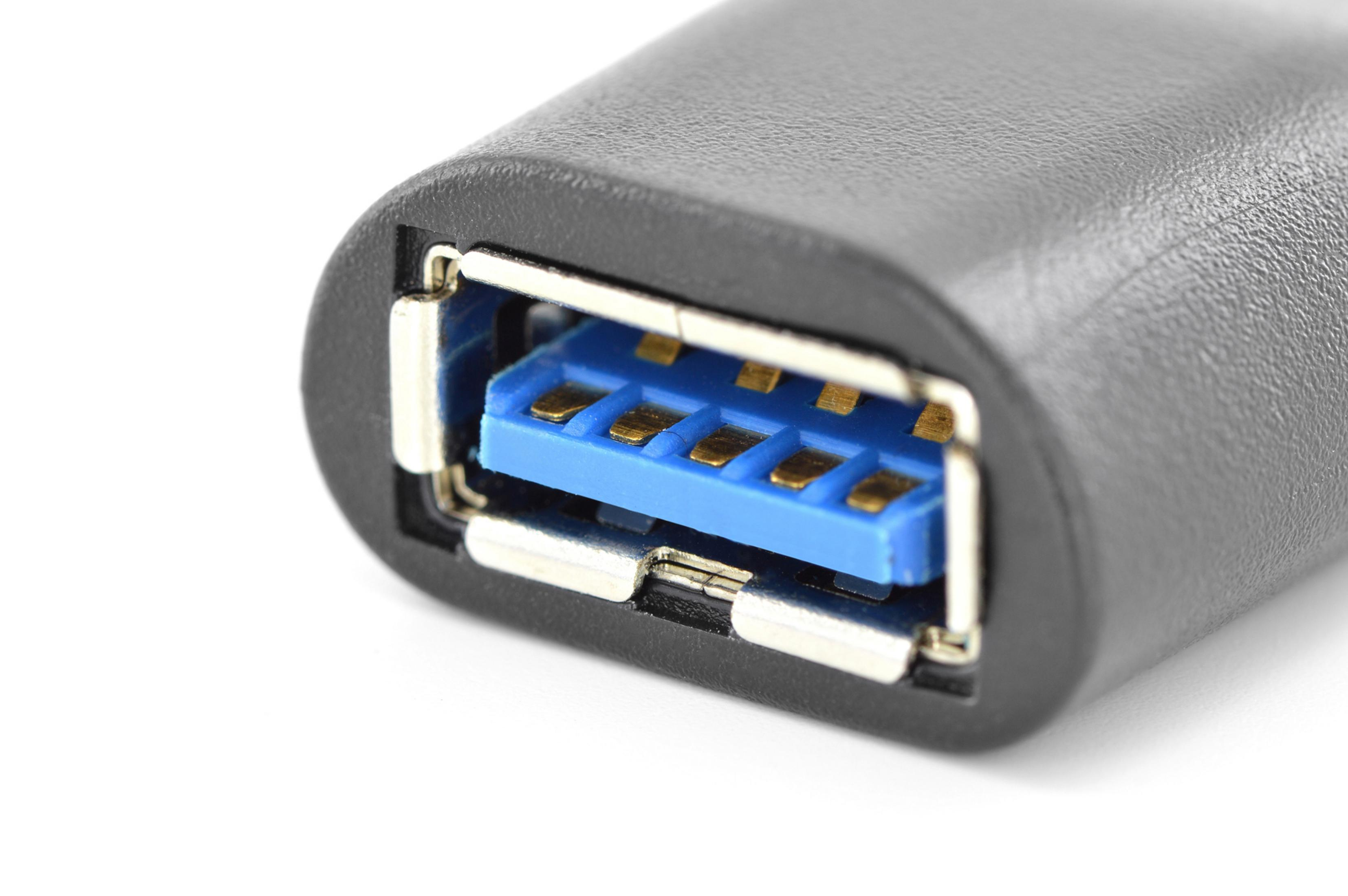 Nahaufnahme eines USB-Anschlusses, schwarzes Gehäuse, blaue Innenseite.