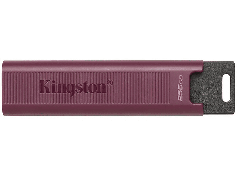 KINGSTON STICK 256GB Kingston DataTraveler 256 Black USB3.2 GB) (Schwarz, USB-Stick