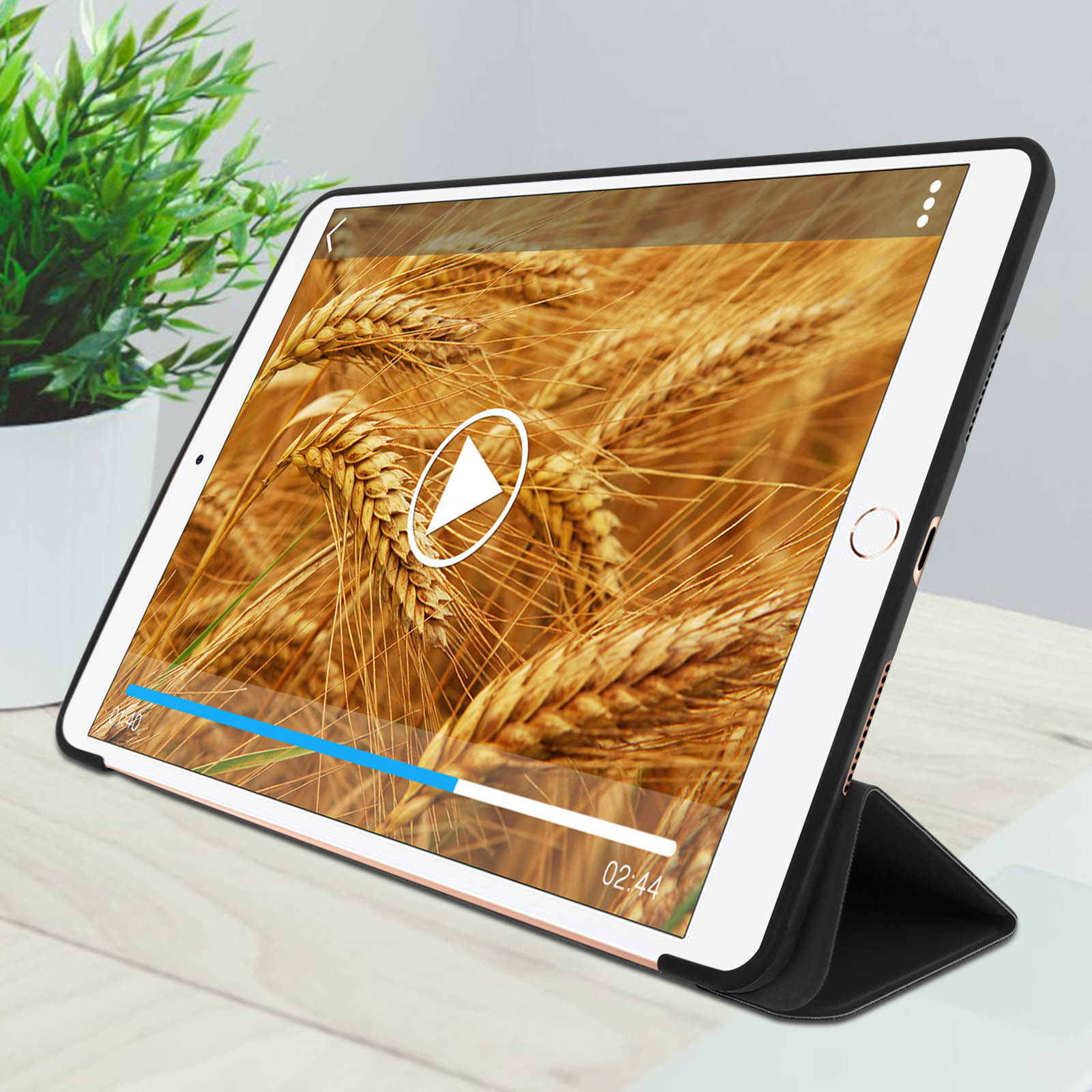 Tablet che mostra un video di grano. Il tablet è in una custodia. Una pianta sullo sfondo.