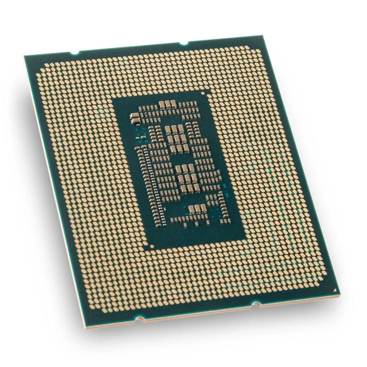 Un procesador de computadora con pines hacia arriba. El procesador tiene forma cuadrada, con una base verde.