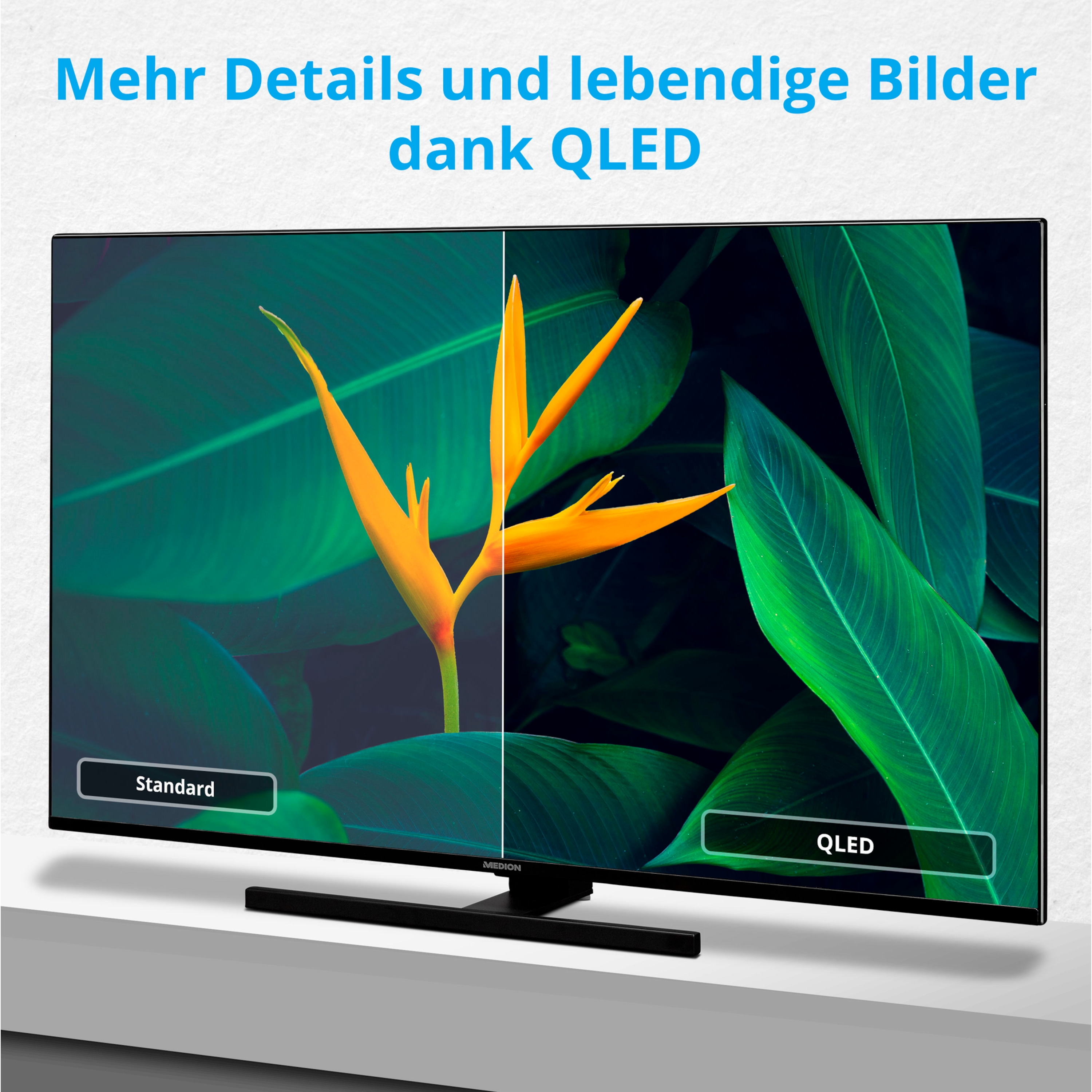 MEDION LIFE® X15048 QLED Zoll 49,5 Fernseher (Flat, cm, / Android) 4K, 125,7