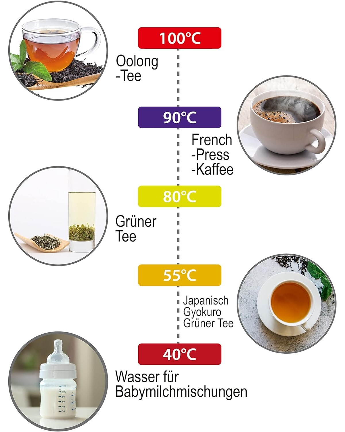Infografik mit Teezubereitungstemperaturen für Oolong, French Press, Grüner Tee und Babymilch.