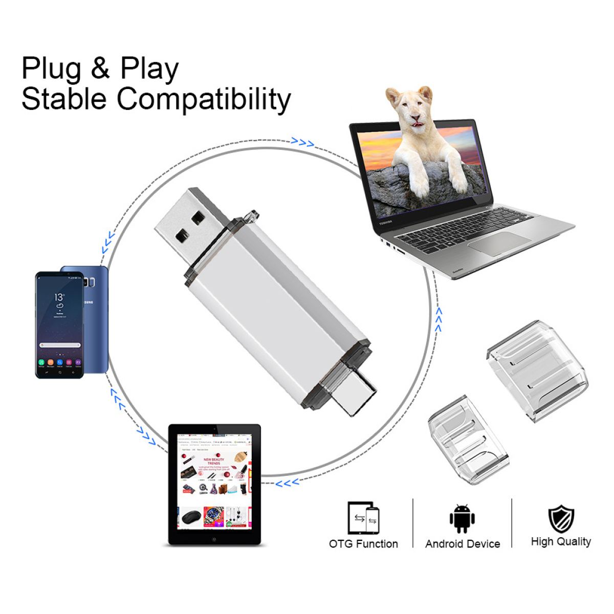 Das Bild zeigt einen USB-Stick, ein Telefon, ein Tablet und einen Laptop. Der Laptop zeigt ein Löwenjunges.