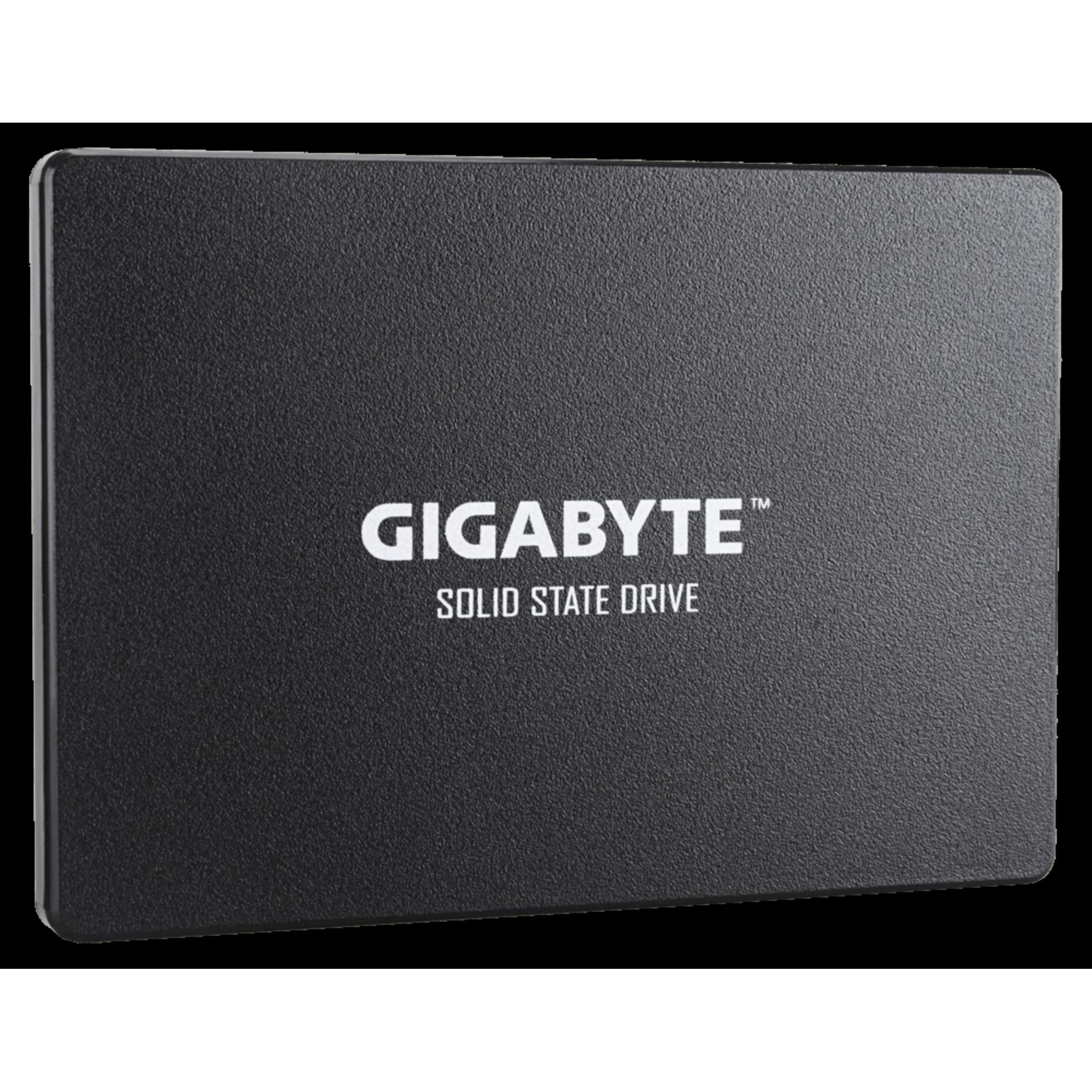 GIGABYTE GP-GSTFS31256GTND 256 GB SSD interne