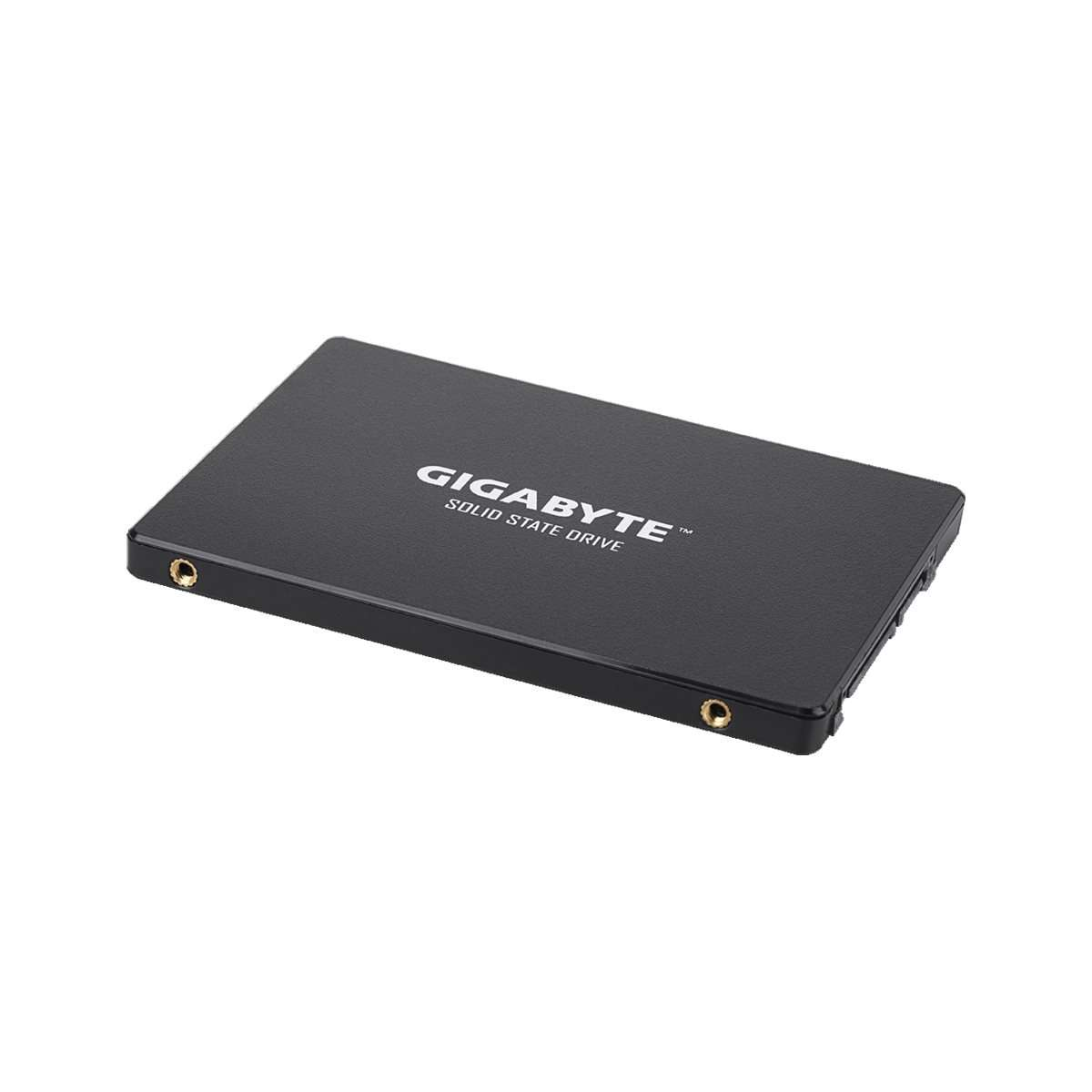 Dysk wewnętrzny SSD GIGABYTE GP-GSTFS31240GNTD Czarny