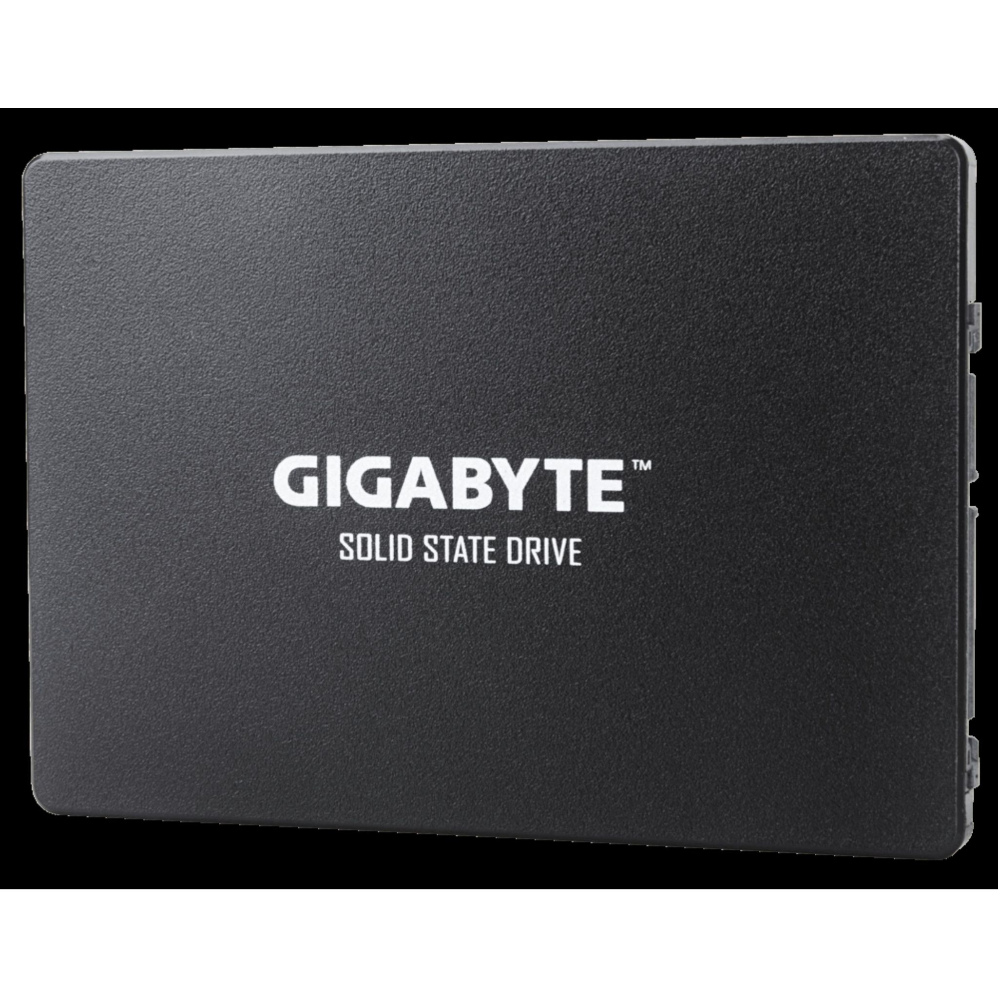 GIGABYTE GP-GSTFS31256GTND 256 GB SSD interne