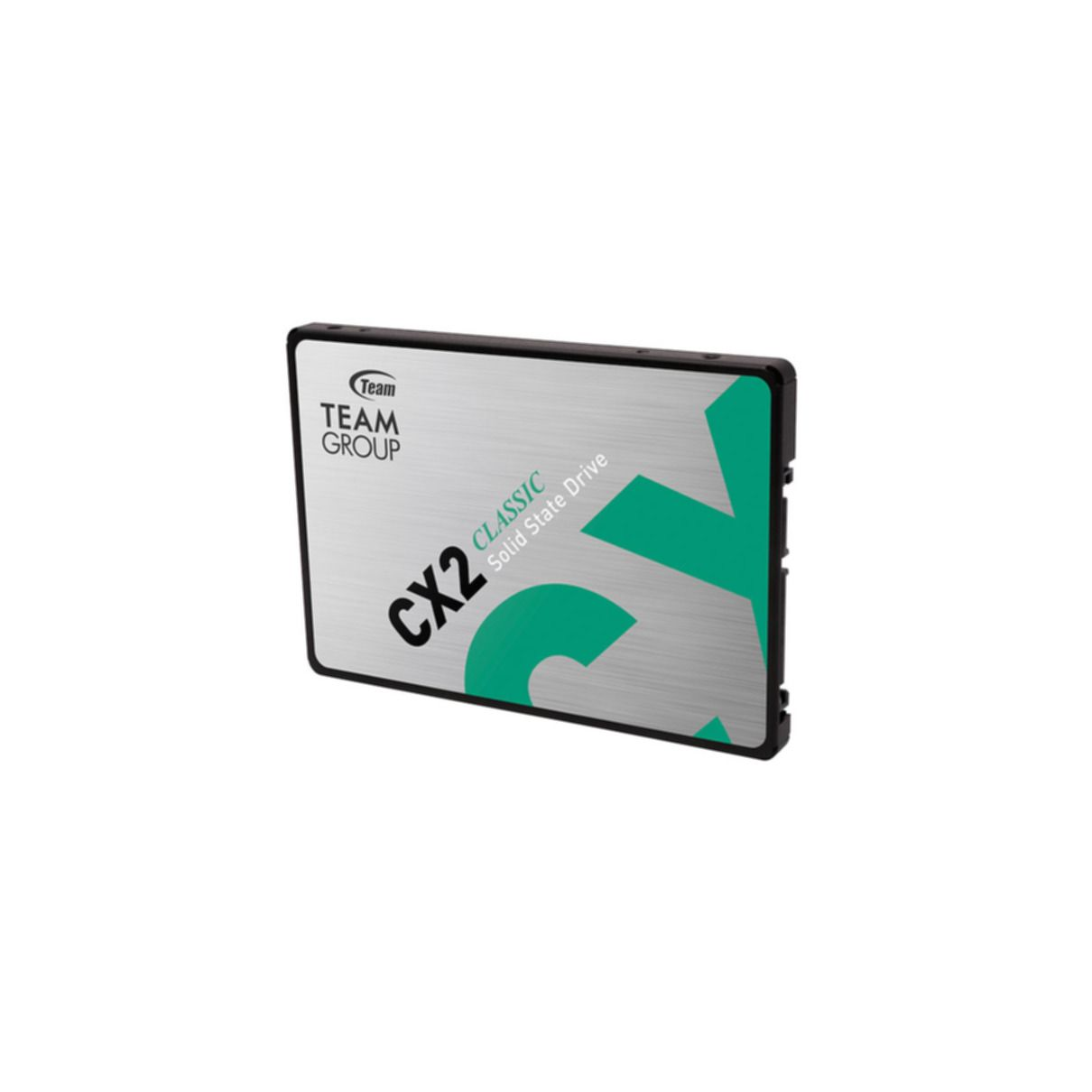 TEAM GROUP CX2, 256 GB, SSD, intern