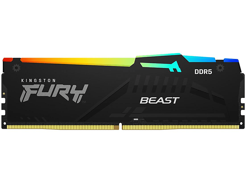 Beast Arbeitsspeicher GB 32 KINGSTON DDR5 RGB
