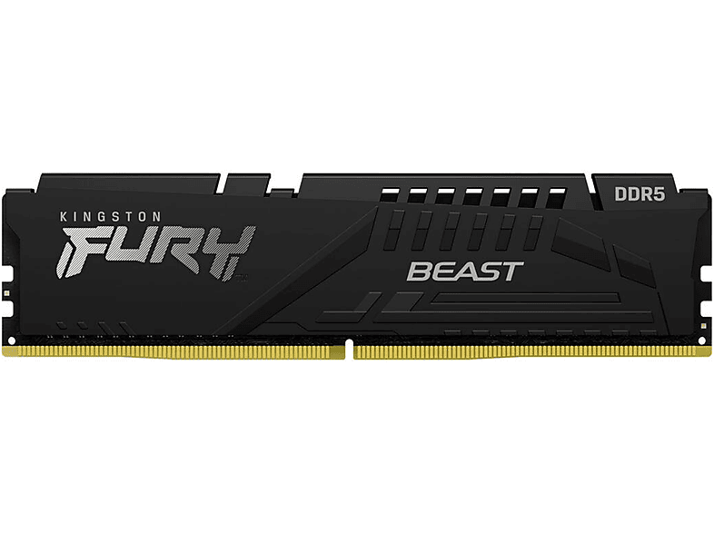 Beast KINGSTON DDR5 16 GB Arbeitsspeicher