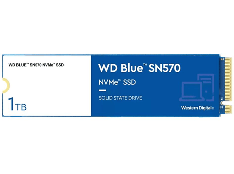 WESTERN DIGITAL WD Blue SN570, 1000 GB, SSD, intern