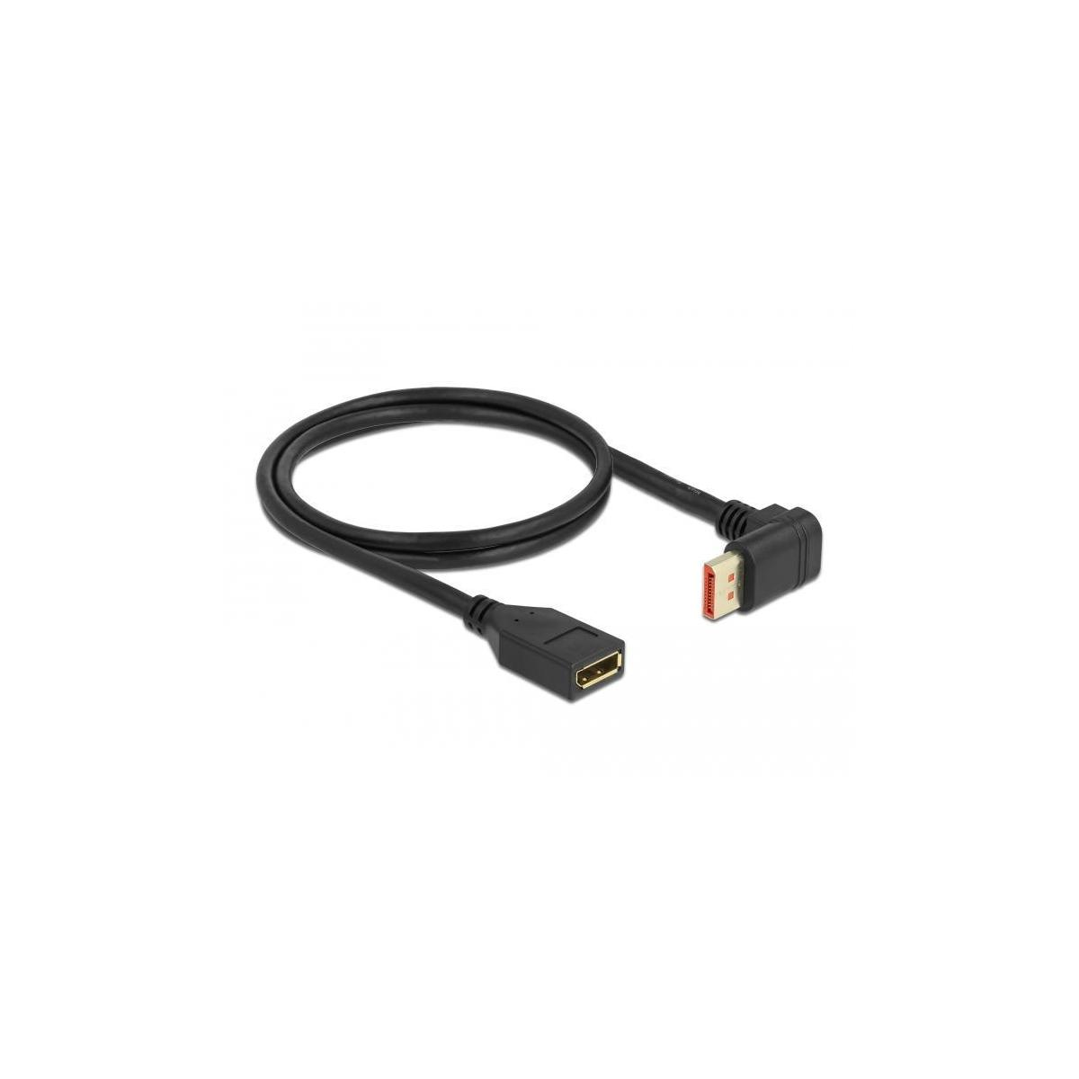 Schwarzes Kabel mit USB und Stecker, schräge Ansicht, auf weißem Hintergrund isoliert.