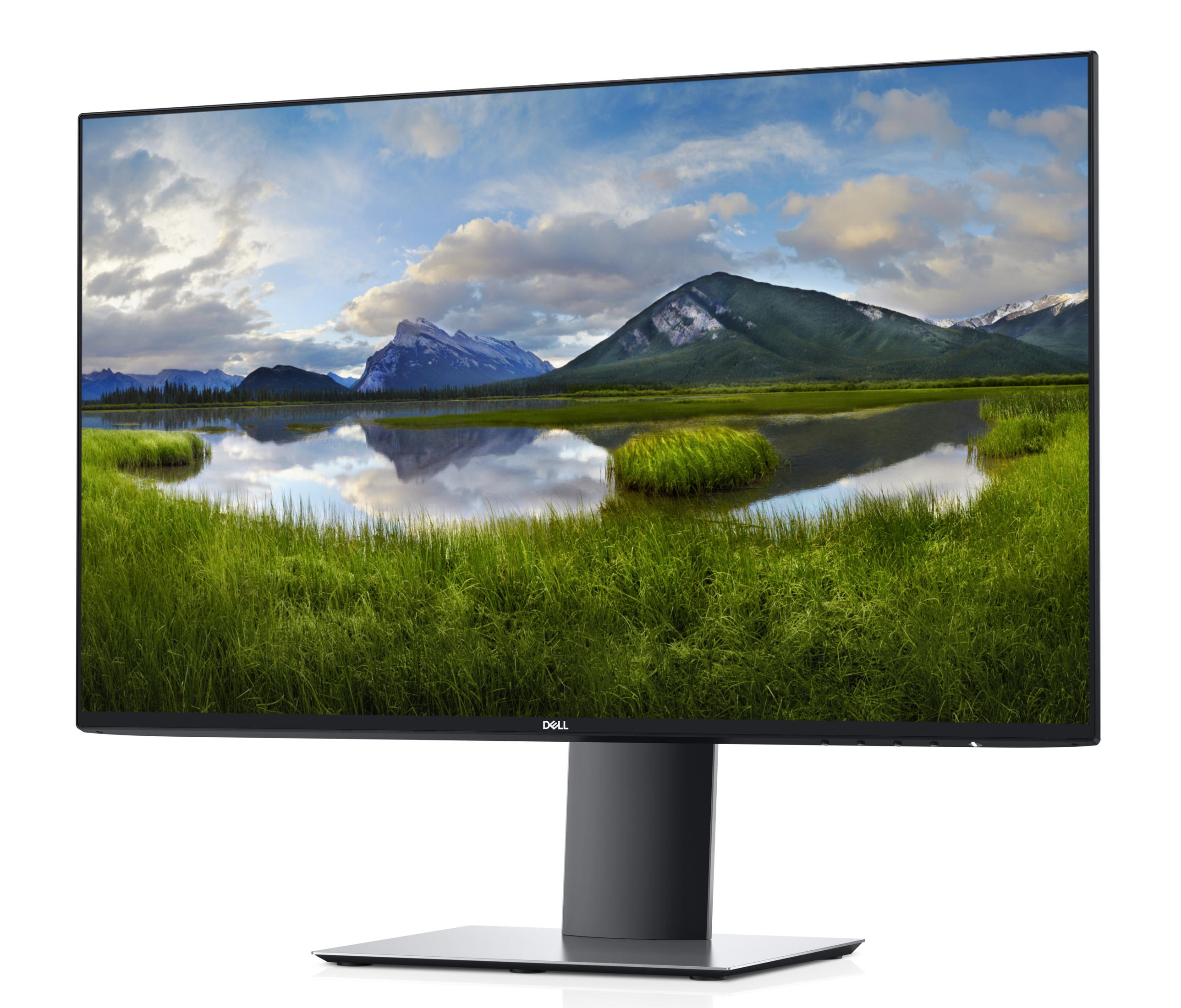 Dell-Monitor mit malerischer Landschaft mit Bergen und grünem Feld. Weißer Hintergrund.