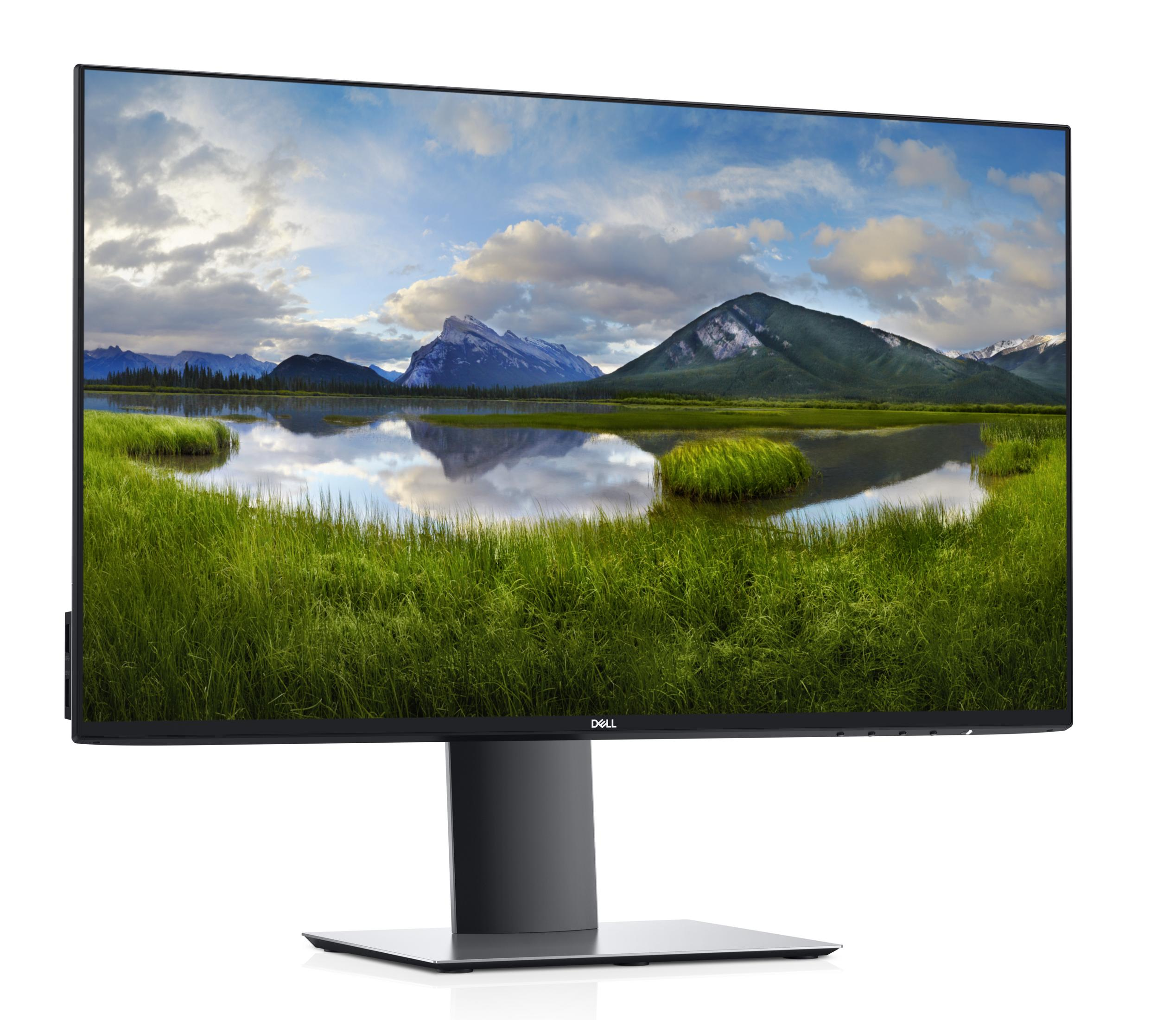 Ein Dell-Monitor zeigt eine Landschaftsszene mit Bergen, Wasser und grünem Gras.