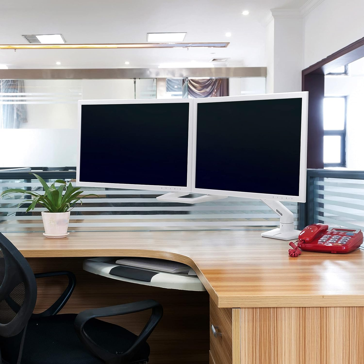 Office desk with two monitors, a plant, and a red phone. Desk is made of wood.