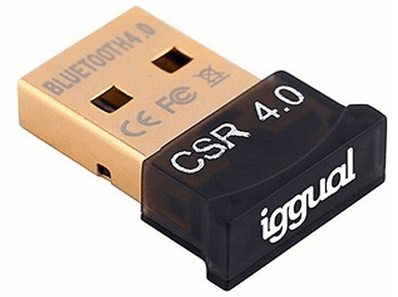 IGGUAL Bluetooth IGG316658, Schwarz Adapter,