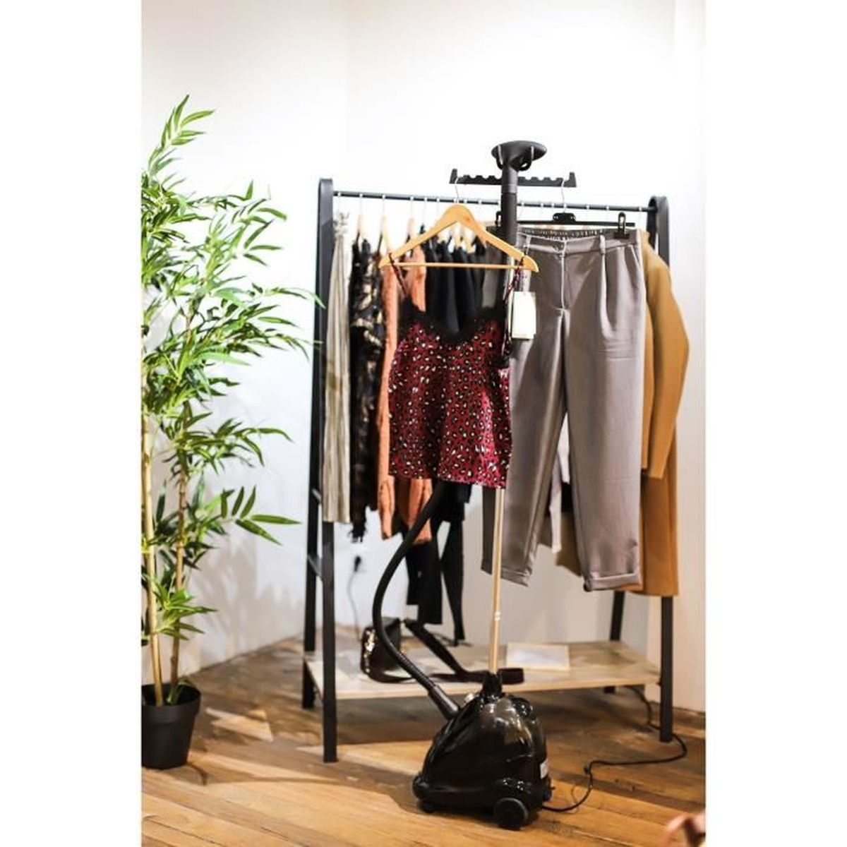 Stendibiancheria con abiti, pantaloni e vaporiera vicino a pianta.