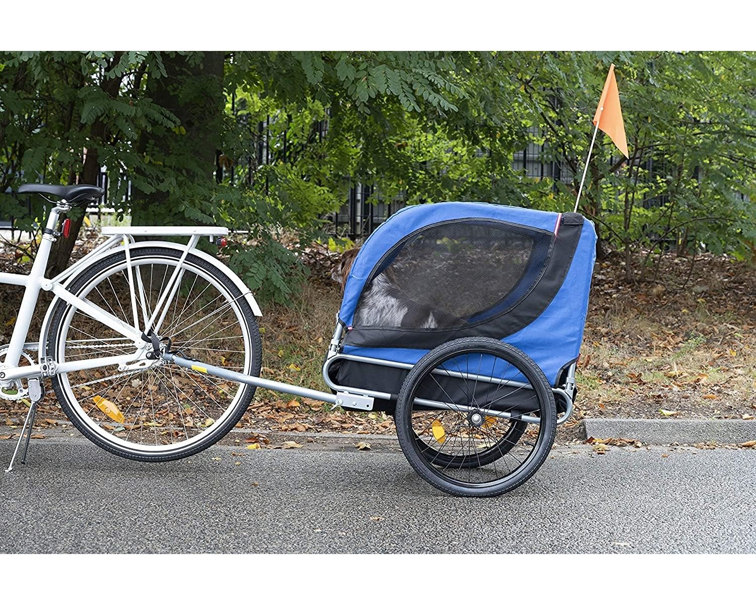 Fahrrad mit blauem Haustieranhänger, mit Fahne, auf einer Asphaltstraße.