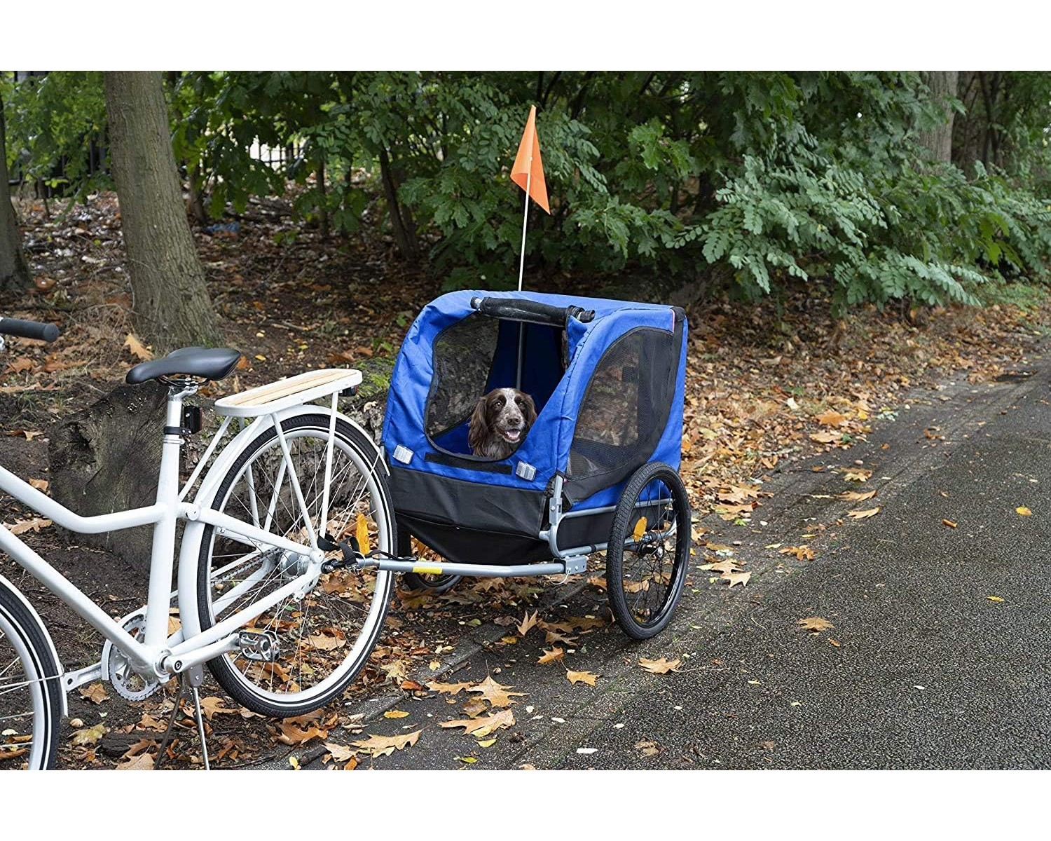 Ein Hund in einem blauen Fahrradanhänger, der an einem weißen Fahrrad befestigt ist, auf einer asphaltierten Straße mit Bäumen.