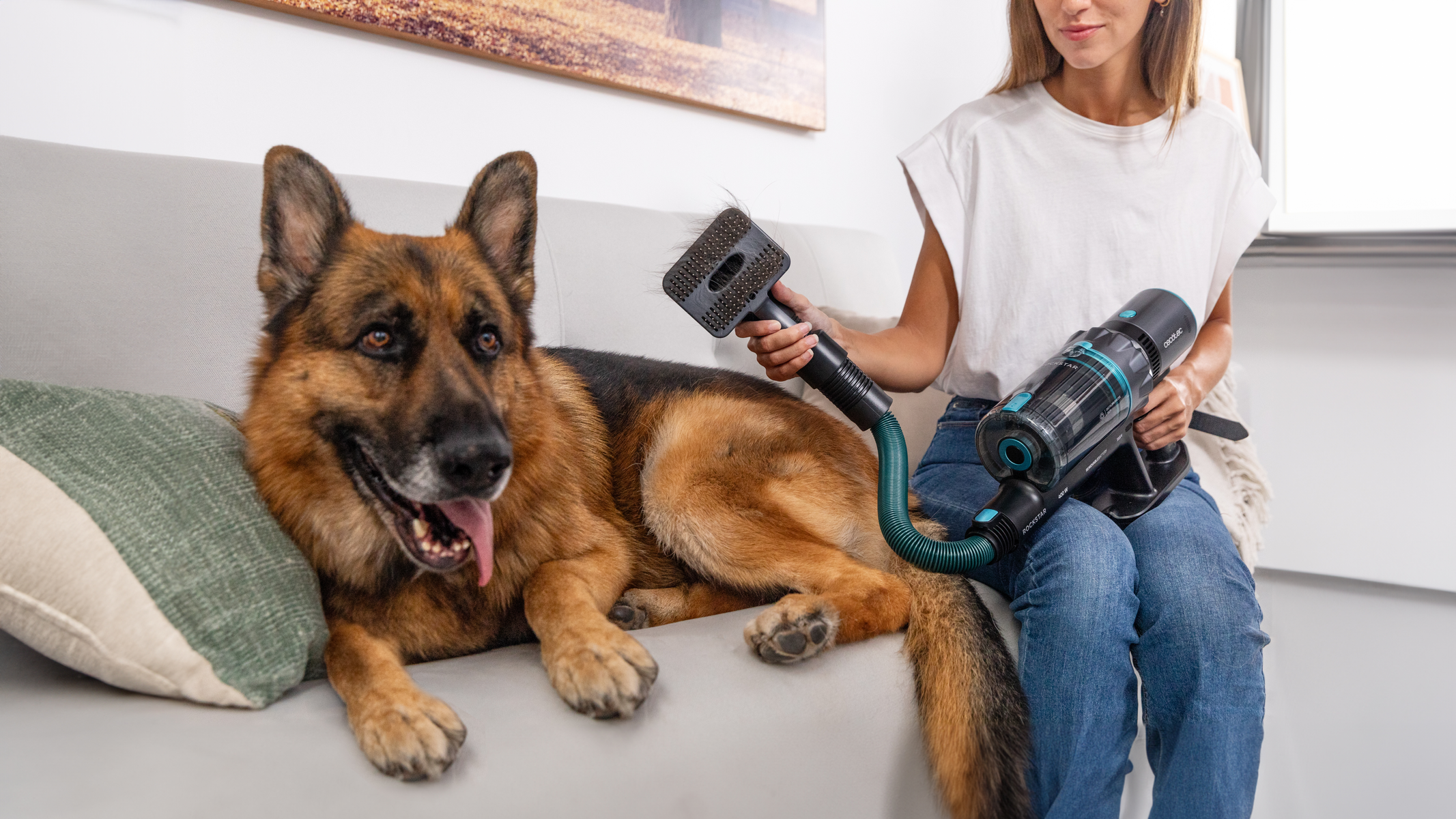 Donna che aspira un cane pastore tedesco su un divano grigio. Accessorio dell'aspirapolvere e animale visibili.