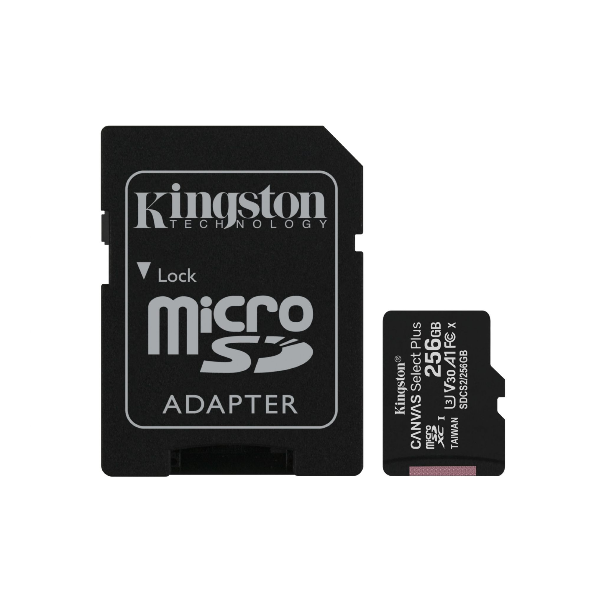 GB, 256 Speicherkarte, KINGSTON SDCS2/256 100 GB, Micro-SD MB/s