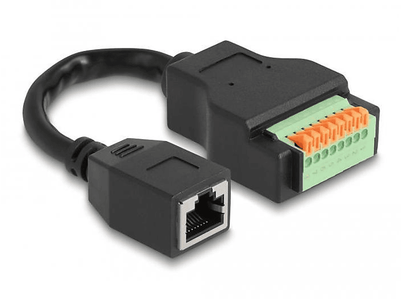 Adapter, DELOCK Schwarz 66065