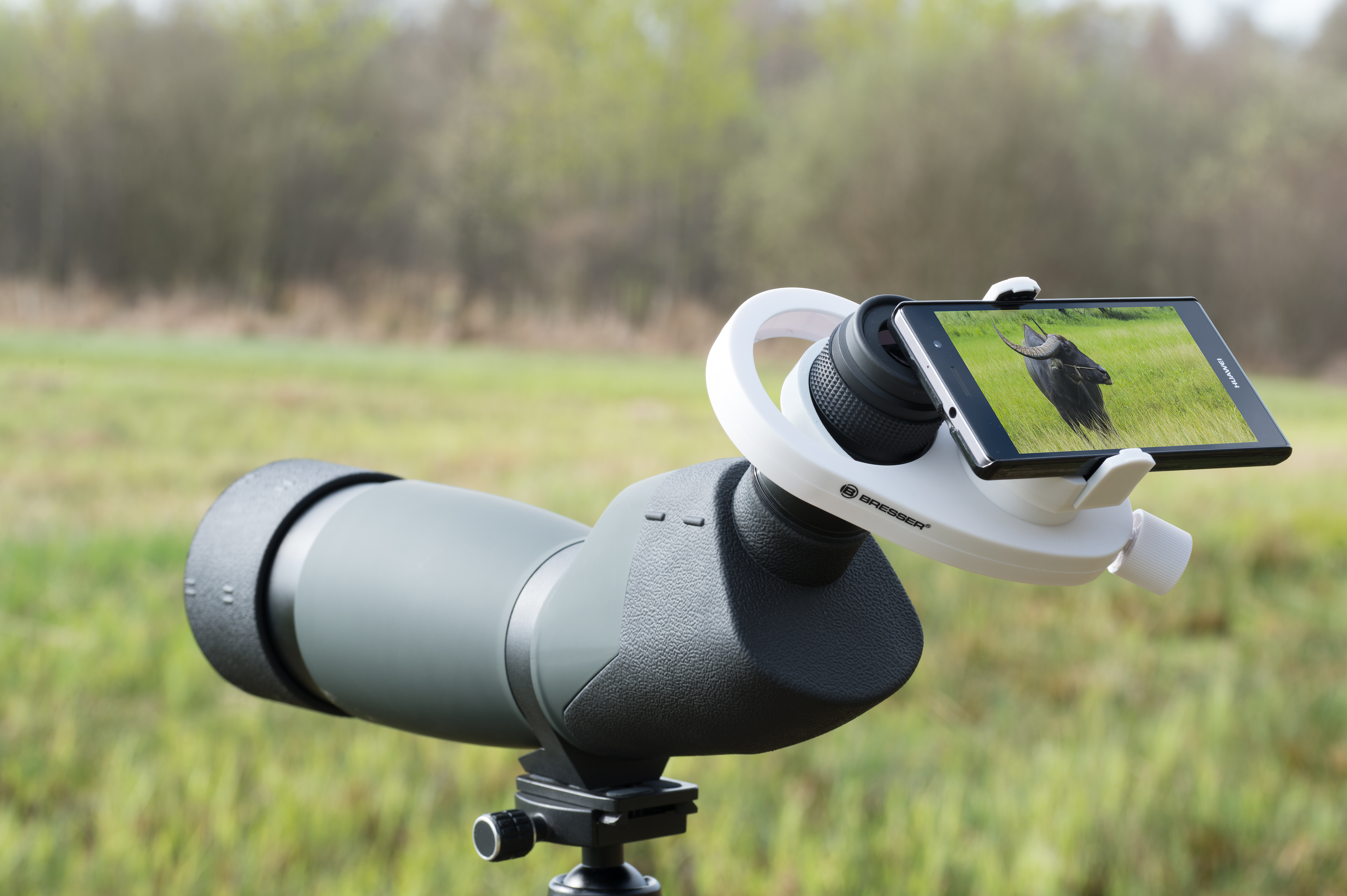 Telescopio con soporte para smartphone mostrando imagen de animal, al aire libre.
