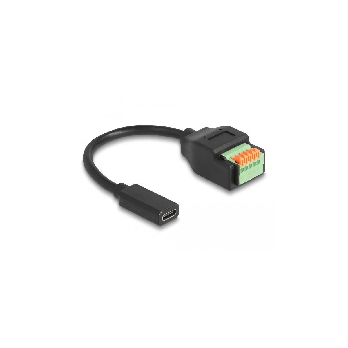 66067 DELOCK Adapter, Schwarz