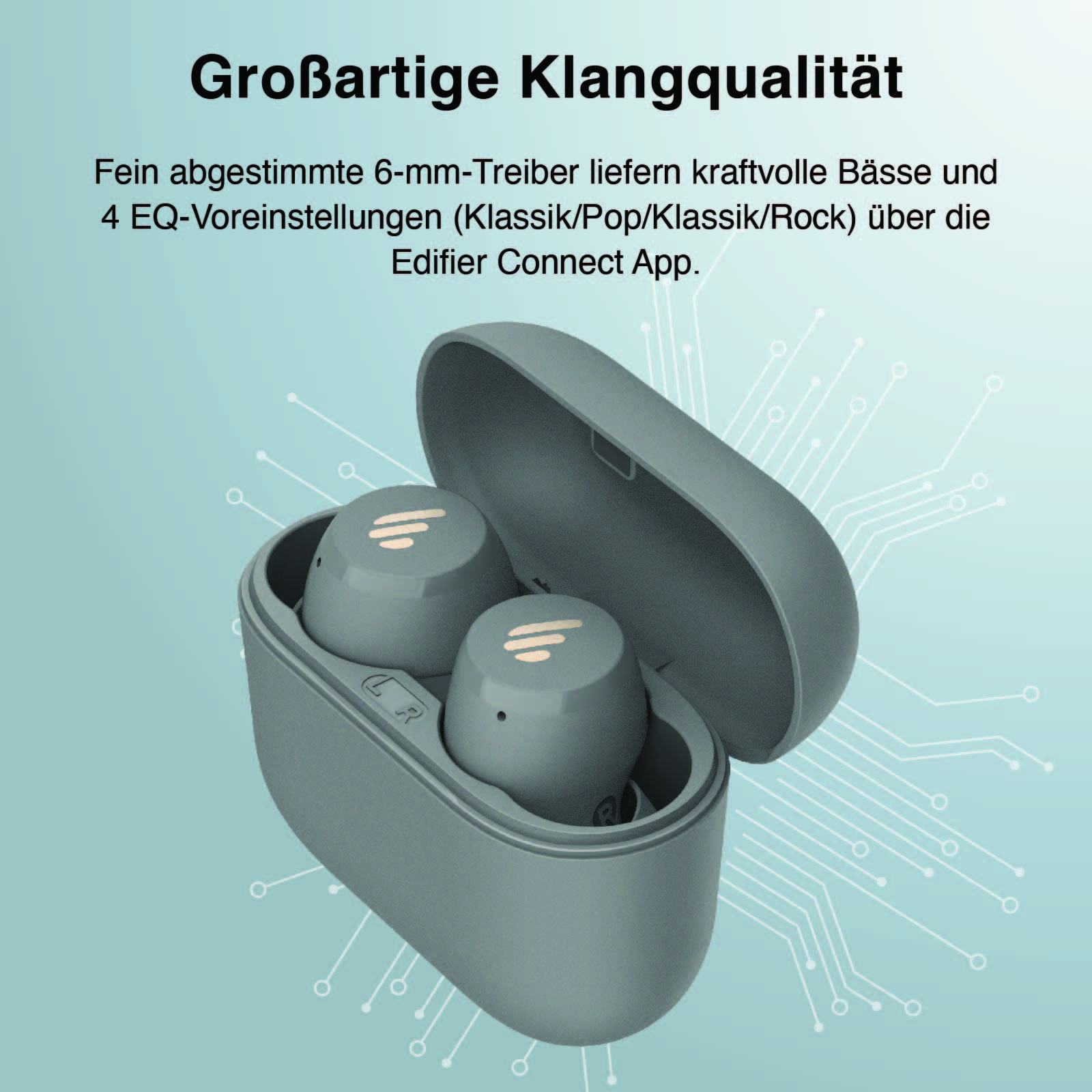 Auricolari grigi in un astuccio grigio. L'astuccio è aperto. Il testo in tedesco è in alto.