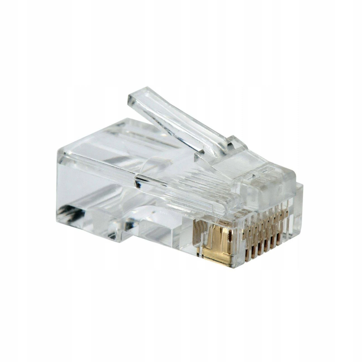 Transparenter RJ45-Anschluss. Er hat goldene Stifte im Inneren und ein transparentes Kunststoffgehäuse.