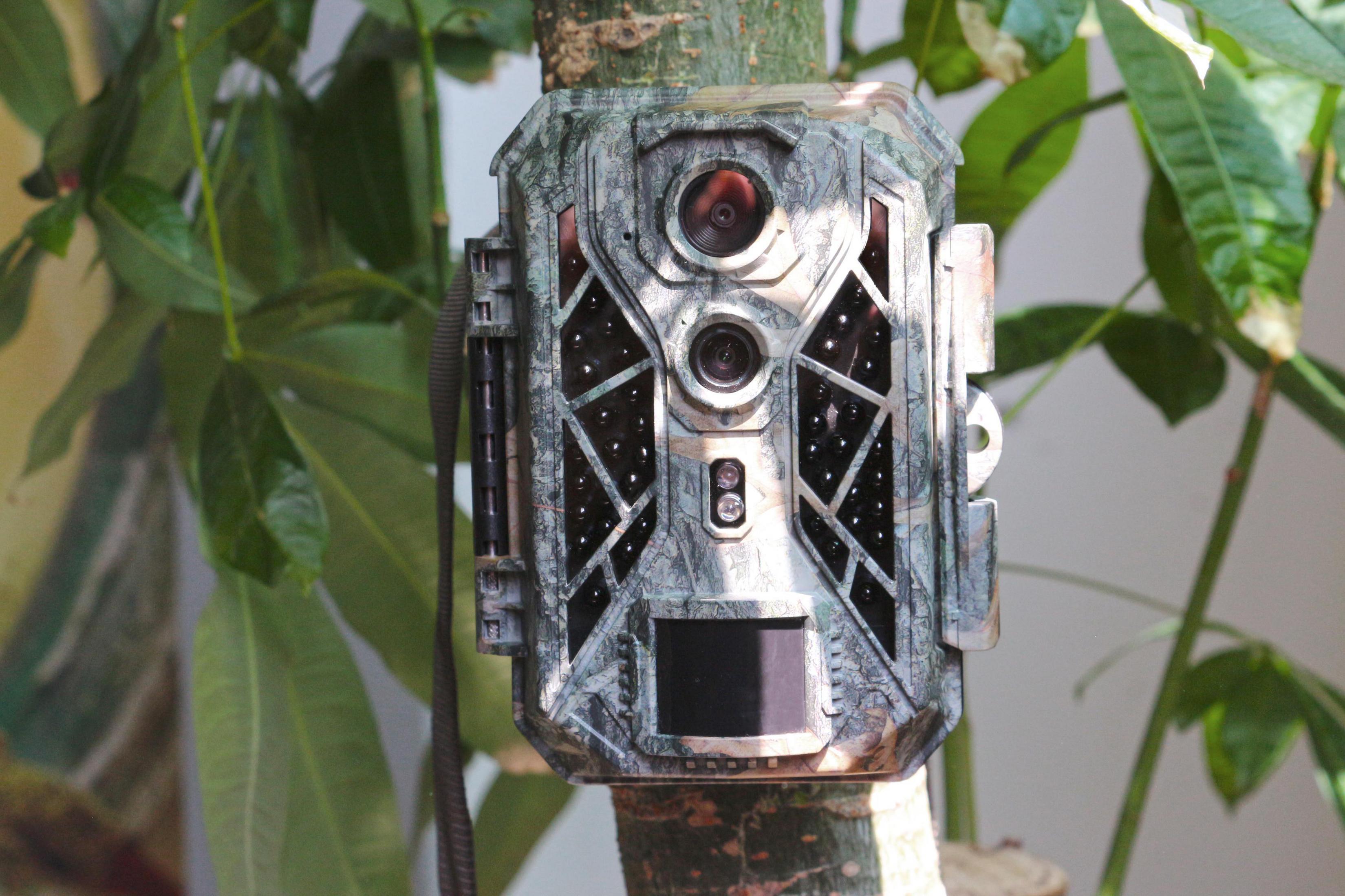 BRAUN PHOTOTECHNIK 57668 BLACK SCOUTING Wildkamera - Zoom, DUAL opt. Farbdisplay TFT-LCD 820 Camouflage, SENSOR CAM