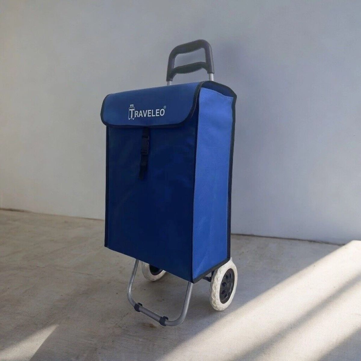 Ein blauer Einkaufswagen mit zwei Rädern, Griff und einem Reise-Logo auf einem Betonboden.