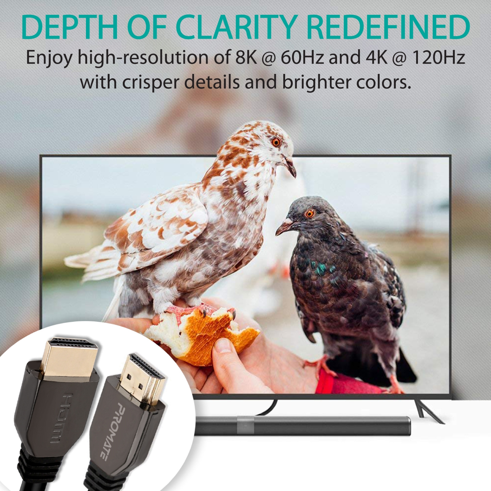 Dos palomas comiendo cerca de una pantalla de TV con cables HDMI, texto: 'DEPTH OF CLARITY REDEFINED'.