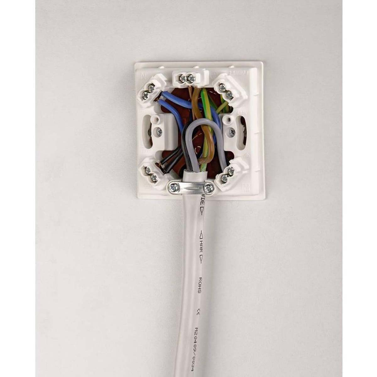 Elektrische Verkabelung in einer weißen Wanddose, mit verschiedenen farbigen Drähten und einem weißen Kabel.