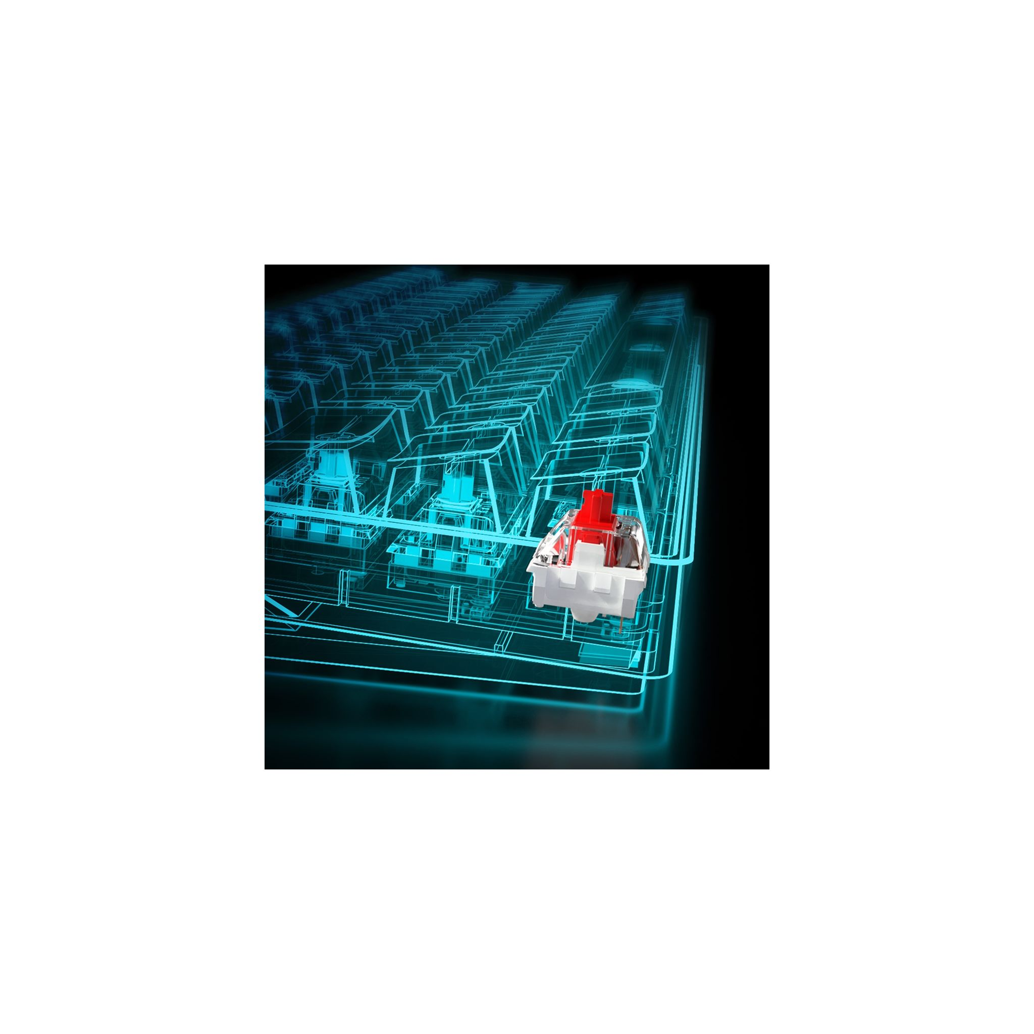 Zbliżenie przełącznika klawiatury z czerwoną nasadką klawisza, otoczone niebieskimi, przezroczystymi przełącznikami.