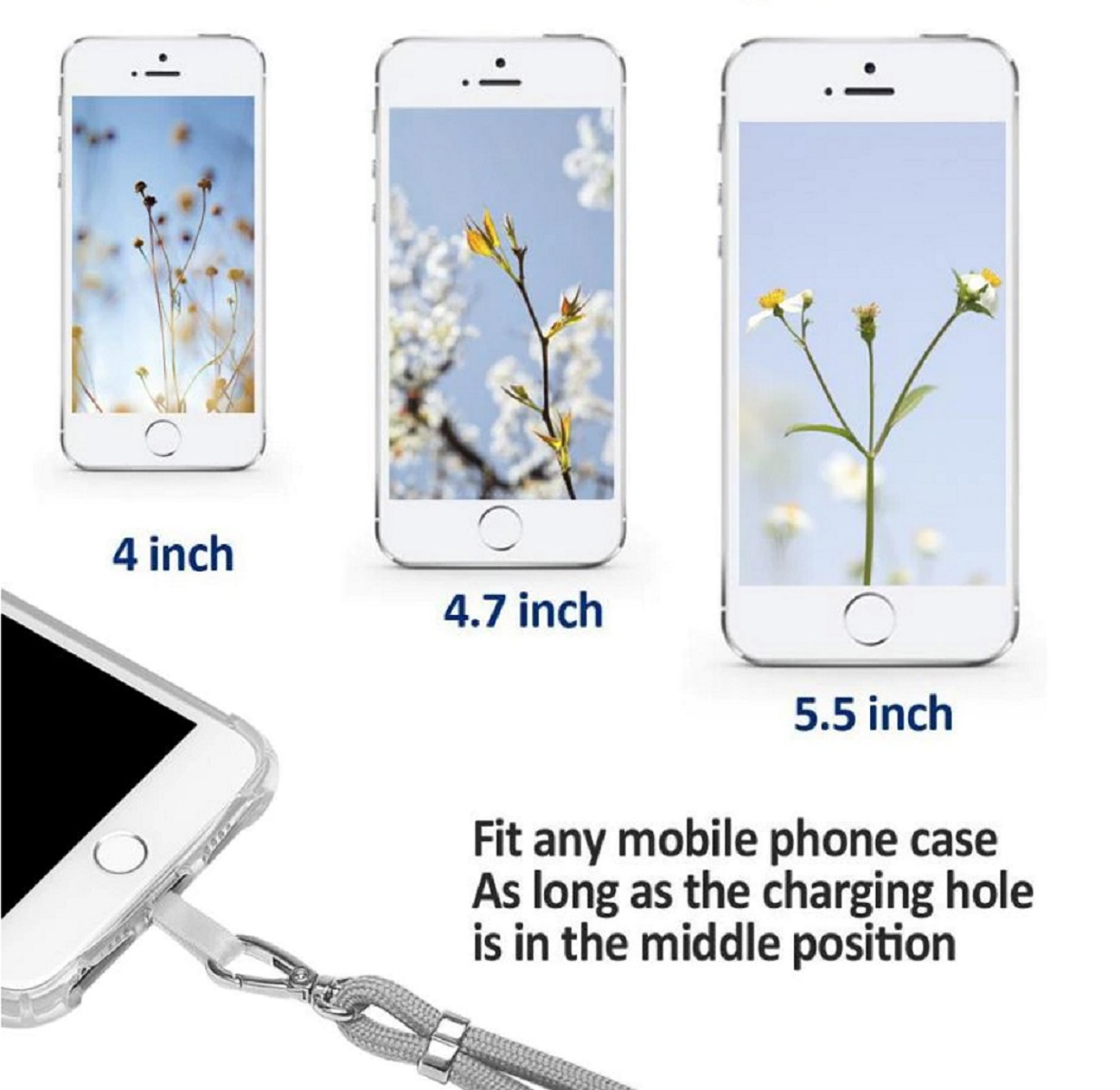 Tre telefoni di diverse dimensioni, con testo che indica le loro dimensioni, su sfondo bianco.