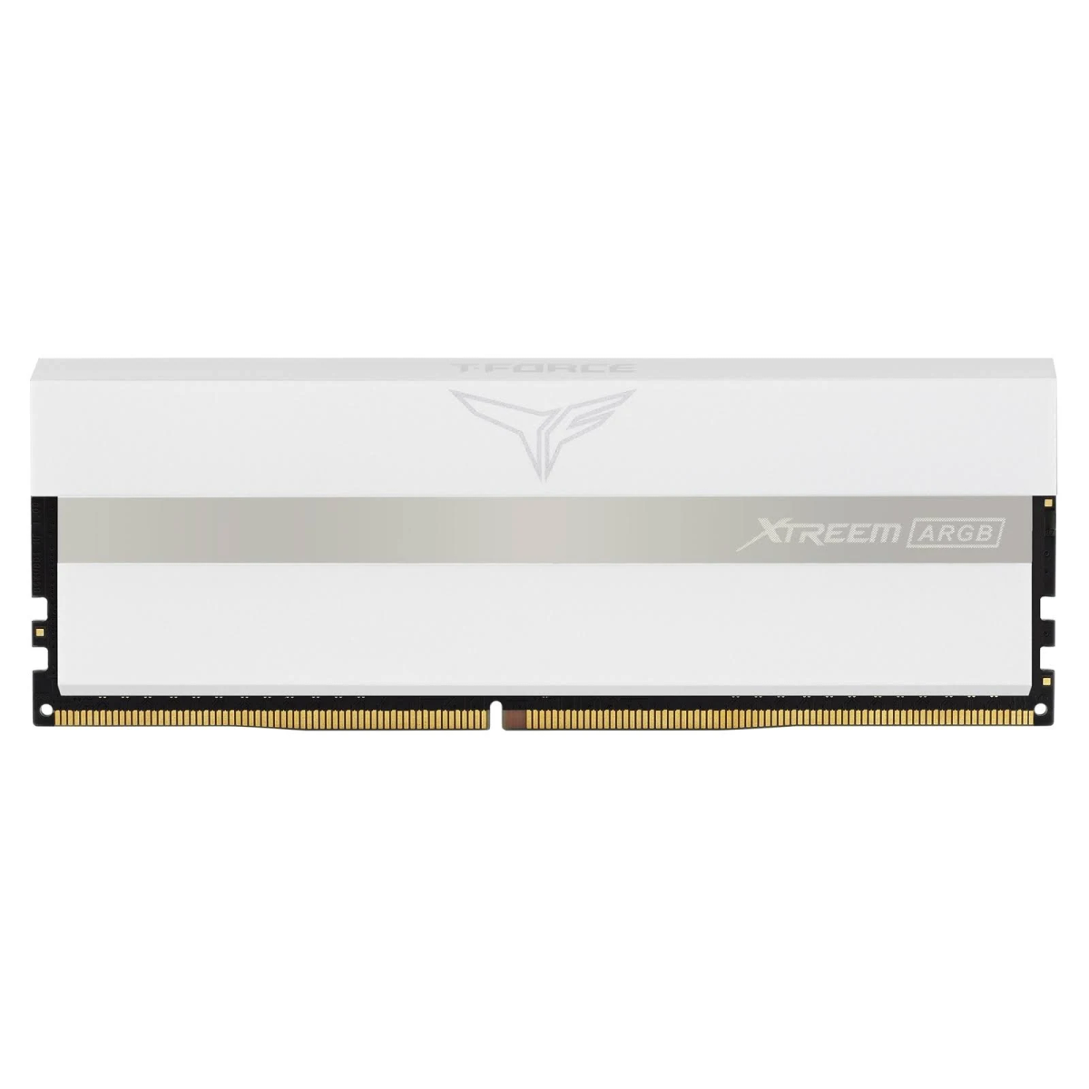 Modulo RAM bianco con striscia argentata.